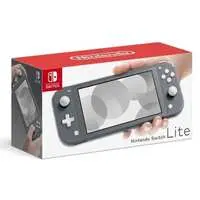 Nintendo Switch - Nintendo Switch Lite (Nintendo Switch Lite本体 グレー(状態：内箱欠品))