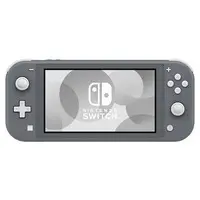 Nintendo Switch - Nintendo Switch Lite (Nintendo Switch Lite本体 グレー(状態：内箱欠品))