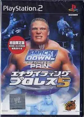 PlayStation 2 - WWE Series (Limited Edition)