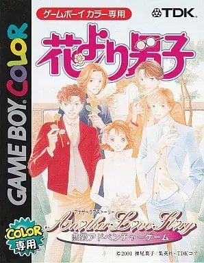 GAME BOY - Hana yori Dango (Boys Over Flowers)