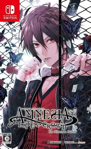 Nintendo Switch - AMNESIA