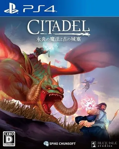 PlayStation 4 - Citadel: Forged with Fire