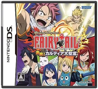 Nintendo DS - Fairy Tail