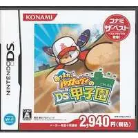 Nintendo DS - PAWAPUROKUN POCKET