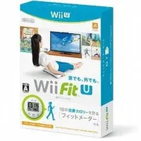 Wii - Wii Fit