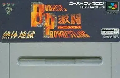 SUPER Famicom - Pro Wrestling