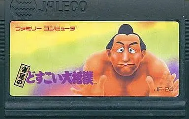 Family Computer - Sumo