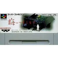 SUPER Famicom - Kai: Tsukikomori - No Box No Manual