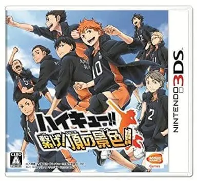 Nintendo 3DS - Haikyuu!!