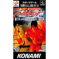 SUPER Famicom - Pro Wrestling