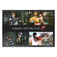 PlayStation 3 - Video Game Accessories - DEAD OR ALIVE