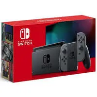 Nintendo Switch - Video Game Console (Nintendo Switch本体/Joy-Con(L)/(R) グレー [2019年8月モデル](状態：セーフティガイド欠品))
