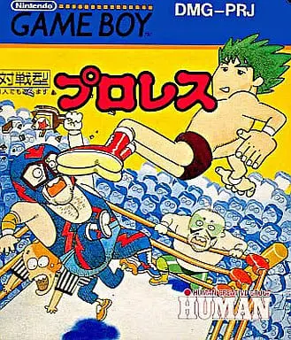 GAME BOY - Pro Wrestling