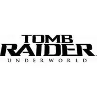 Wii - Tomb Raider