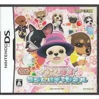 Nintendo DS - Won!Tertainment Music Channel