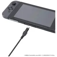 Nintendo Switch - Video Game Accessories (microUSB-TypeC変換コネクター ブラック)