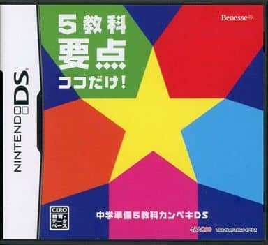 Nintendo DS - Educational game