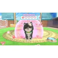 Nintendo Switch - Wanko to Asobou! Mezase Dog Trainer!