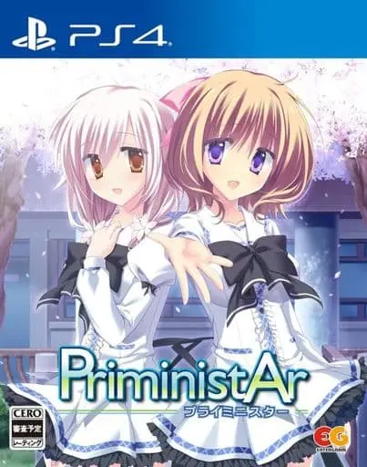 PlayStation 4 - PriministAr