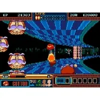 MEGA DRIVE - Panorama COTTOn