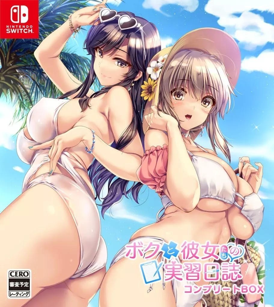 Nintendo Switch - Boku to Kanojo no Kenshuu Nisshi (Limited Edition)