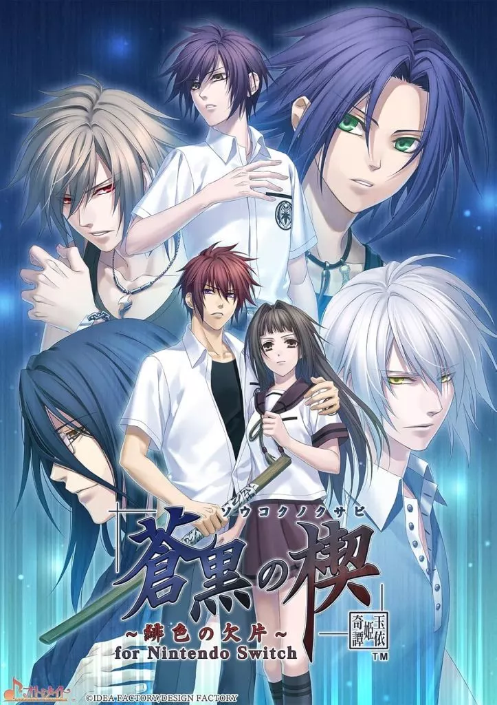 Nintendo Switch - Hiiro no Kakera