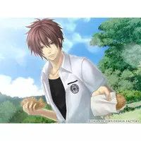Nintendo Switch - Hiiro no Kakera