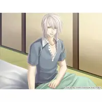 Nintendo Switch - Hiiro no Kakera