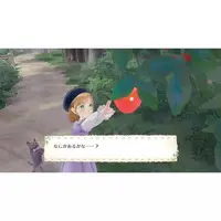 Nintendo Switch - Magical Craft: The Cat and the Magical Dress