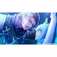 Nintendo Switch - Yuukyuu no Tierblade (Limited Edition)