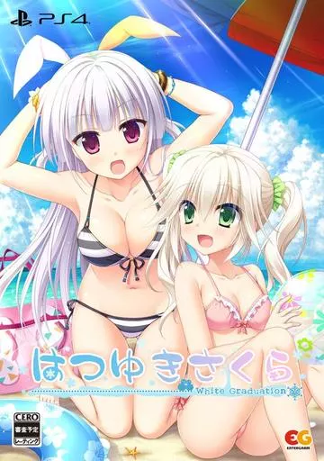 PlayStation 4 - Hatsuyuki Sakura (Limited Edition)