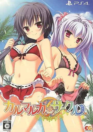 PlayStation 4 - Karumaruka Circle (Limited Edition)