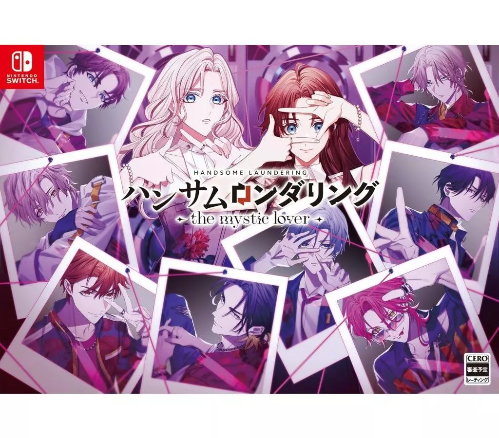 Nintendo Switch - Handsome Laundering (Limited Edition)