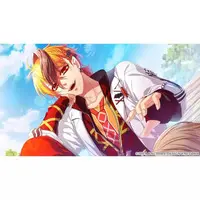 Nintendo Switch - Glass Heart Princess