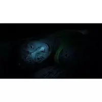 PlayStation 5 - AMBER ALERT