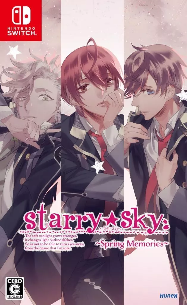 Nintendo Switch - Starry Sky